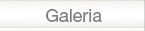 Galería