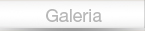 Galería