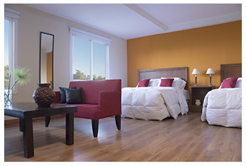 Suite Ejecutiva